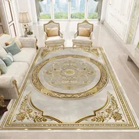 Luxury European Style Carpets Living Room Sofa Side Rugs Home Decoration Soft Golden Carpet Bedroom Cloakroom Hallway Floor Mat 2