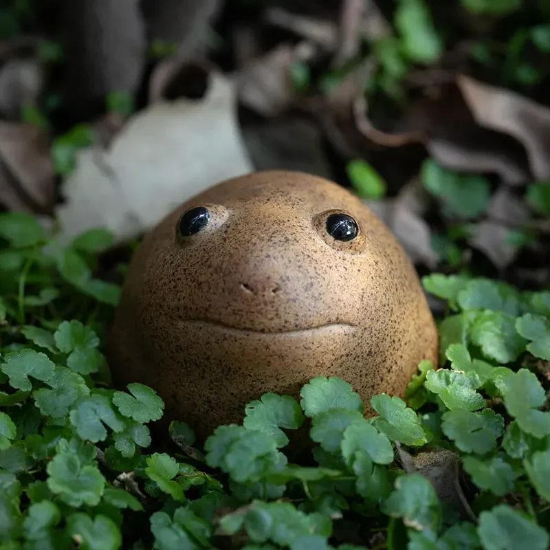 Lucky Frog Tea Pet Zen Tea Set, Coarse Pottery, Jin Chan, Handmade