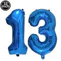 Number 13