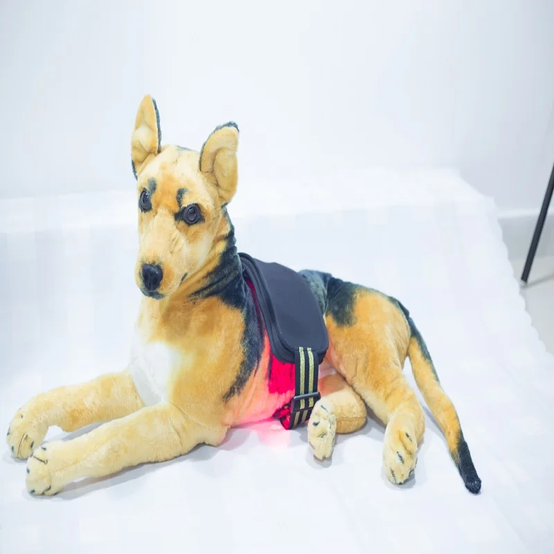 Laser Therapy Device 650nm 808nm for Sport Injuries Arthritis Heel Spurs Pain Relief for human Pet Cat Dog Horse