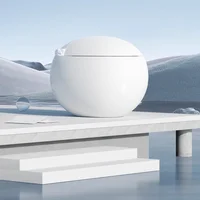 YYHC-Smart toilet seat with automatic sensor with bidet and tank 1