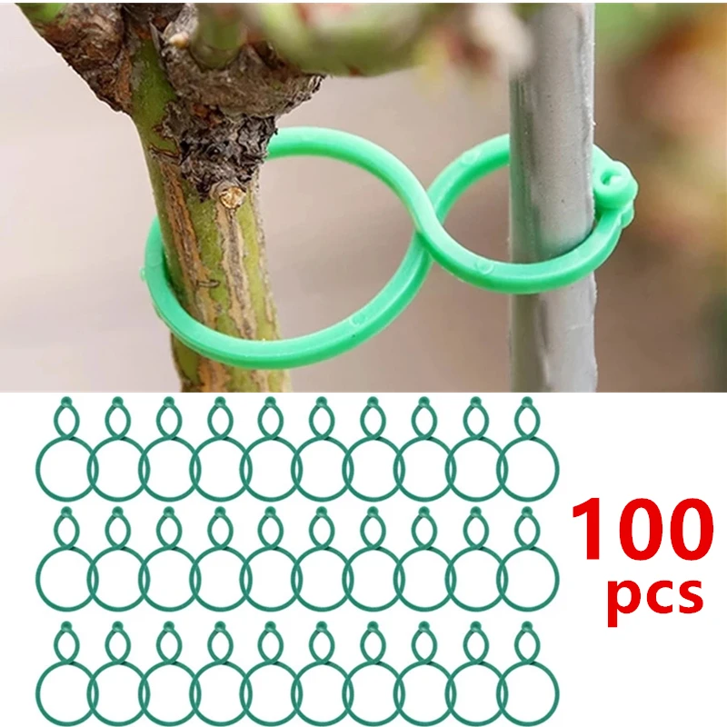 

100pcs 2 Size Botany-stem Vine Strapping Clips Garden Plant Bundled Buckle Ring Fasten Stand Holder Fixed Suppor Garden Supplies
