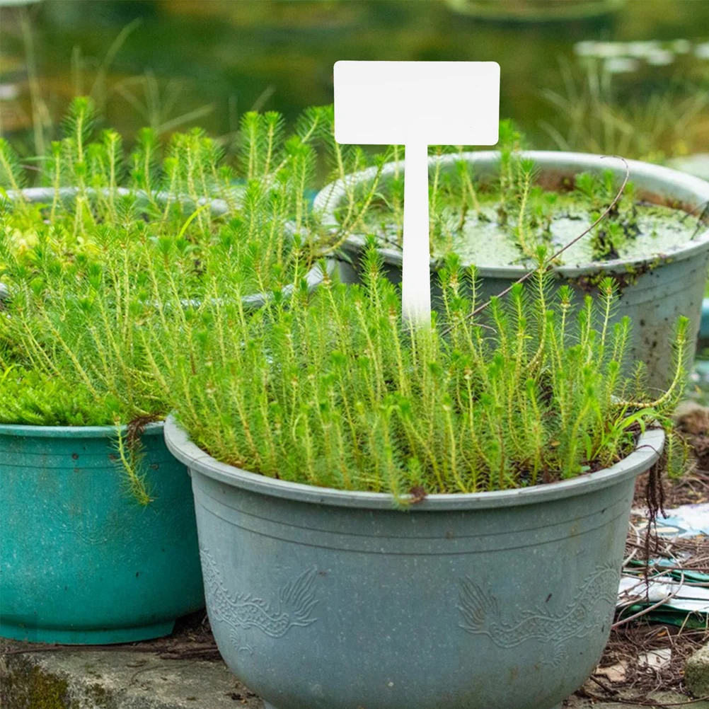 

10 Pcs Gardening Signage Perlite for Plants Nursery Markers Lengthen Simple Labels