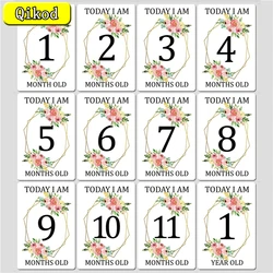 12 Sheets Baby Monthly Souveir Cards Baby Milestone Photo Sharing Cards Gift Set Newborn Photo Age Cards Photography Props Cards