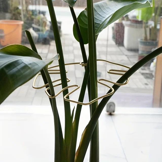Plant Stabilizer Plant Holder For Supporting Monstera And Flowers Plant Support 4