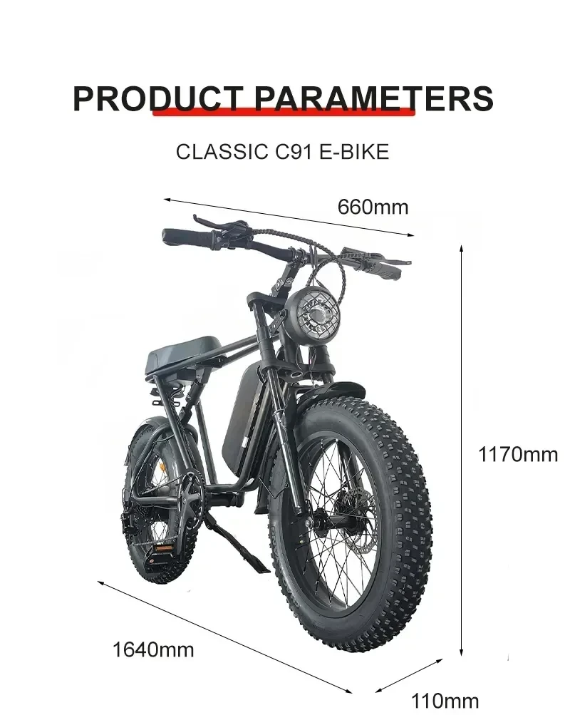 Electric bike C91 powerful 2000w dual motor 48v 20ah lithium battery Electric Bicycle 20 inch fat tire mountain off-road E-bike