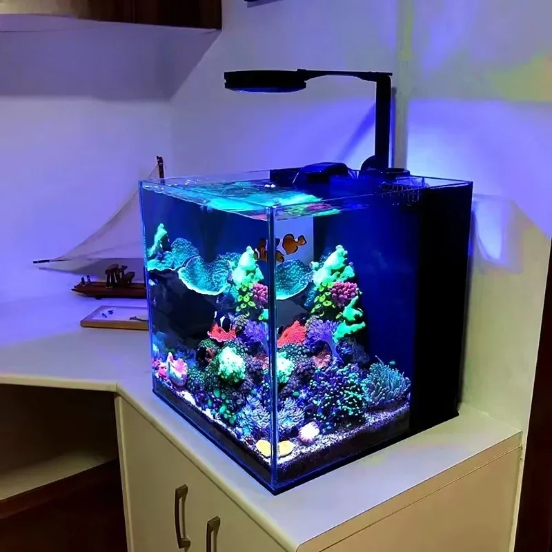 Aquarium Fish tank Glass Marine tank Rookie Reef Aquarium Salt