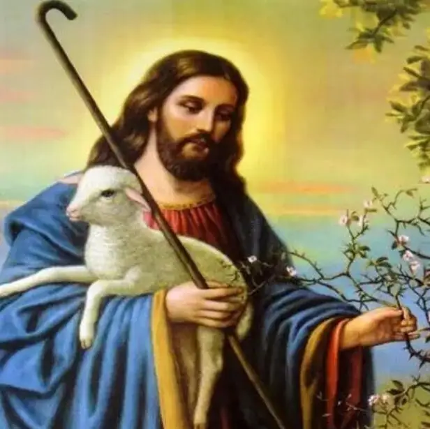 ���� �׸����� ���� ����, ������ �Ҹ��� ����, ��Ƽ�� ����, �ε巯�� �ƴ��� �ö��� ���