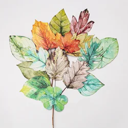 Carte postale de vœux créative en papier, 30 pièces/boîte, signet Kawaii 