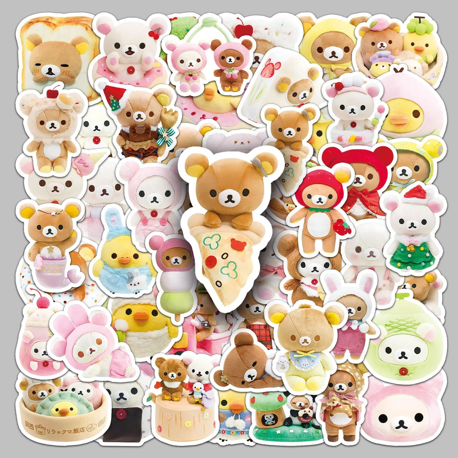 dsc-products
