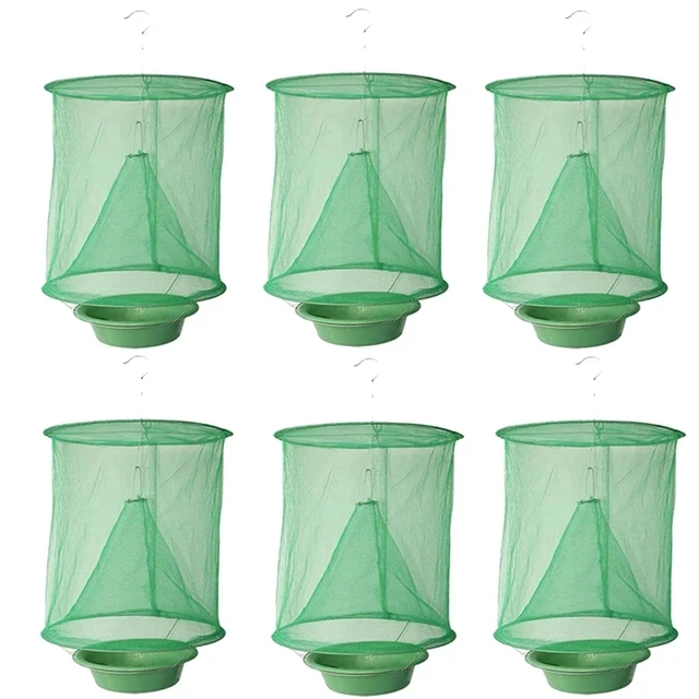 8PCS