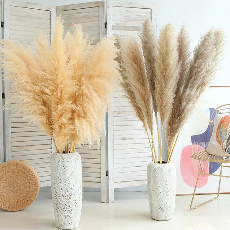 

Natural Artificial Cultivation Pampas Grass Large Size Fluffy Dried Flowers Decor Bouquet For Wedding Home Bedroom Decoration