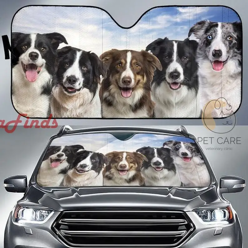 

Border Collie Face Auto Sun Shade Amazing Best Gift Ideas 2022