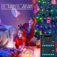 WS2812B RGB LED String Garland Light 10m 5m Smart IC APP Bluetooth Remote Fairy Lights Dreamcolor Garden Party Christmas Decor - Image 3