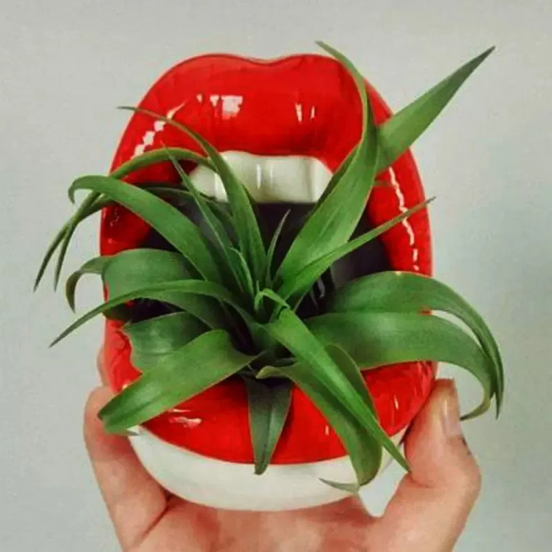 Teeth Ceramics Flowers Pots cigarettes ashtray ceramic ashtray Cute Lips Vase Green Planter Mini Ashtray China Personality Mouth Flower Vase Fashion Home D