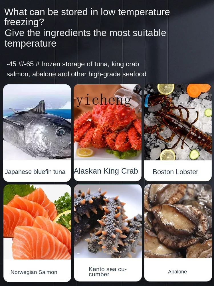 Tqh Ultra-Low Temperature Cabinet Freezer Low Temperature Cabinet minus 60 Degrees Refrigerator Frozen Tuna Seafood