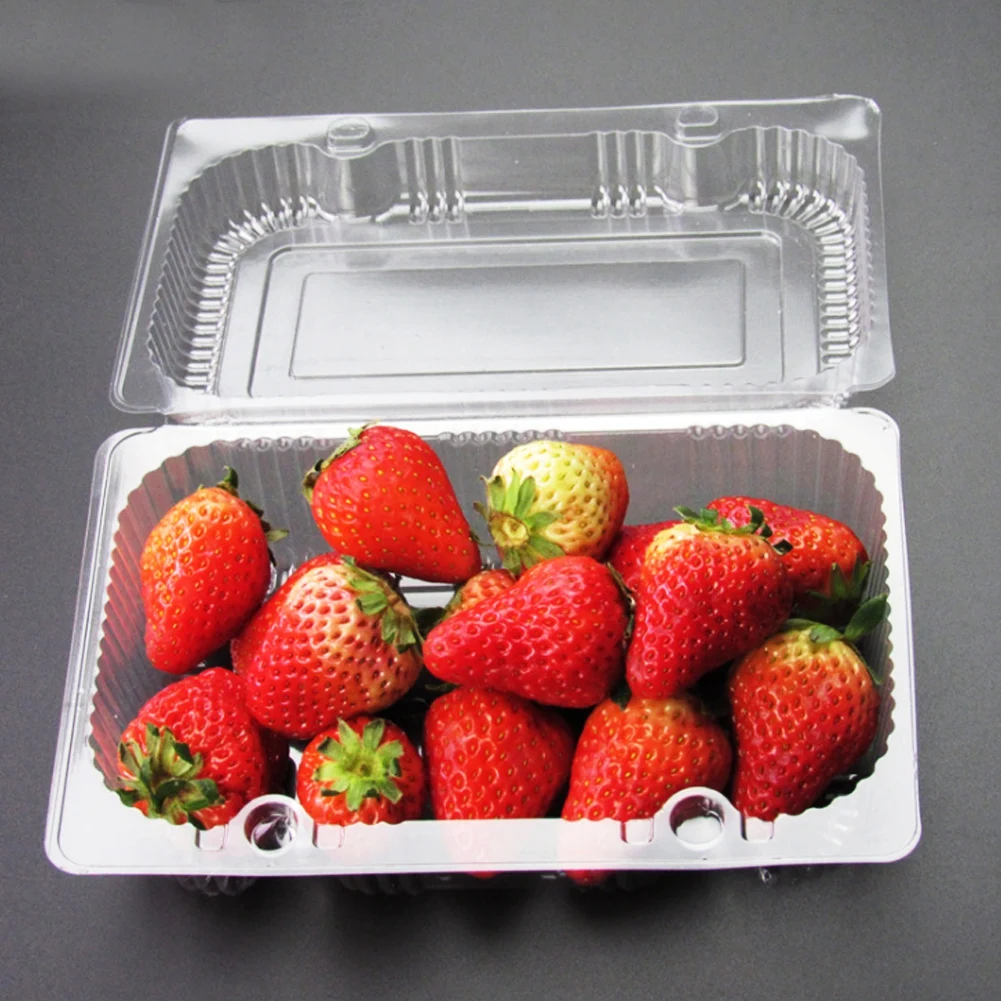 25 PCS Disposable Plastic Hinged Loaf Container Food Fruit Storage Box 22.5 X 12.7 X 8.5 Cm