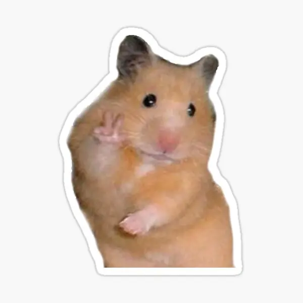 Peace Hamster Meme 배경 인쇄 벽 만화 자동차, 어린이 범퍼 창, 귀여운 애니메이션 아트 장식 스티커, 재미있는 ...