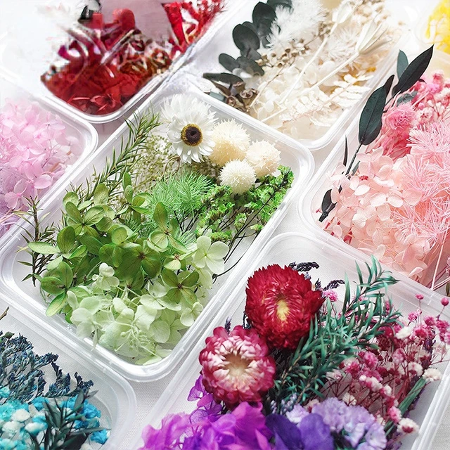 Preserve Dried Flowers Resin  Preserving Dried Flowers Resin - Diy Dried  Flowers - Aliexpress