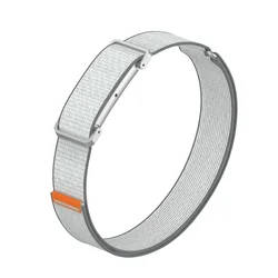 Nylon Woven Upper Arm Band with Metal Case Replacement - GoogleFitbit Air (Arm Strap - SilverGray)