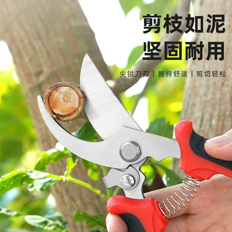 

Fruit Tree Pruning Branches Gardening Special Floristry Flowers Branch Scissors Branch Garden Tools Flower Scissors