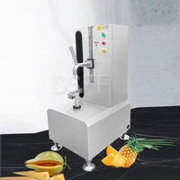 Chinese Factory Commercial Pumpkin Peeler Industrial Mango Pineapple Peeler 1