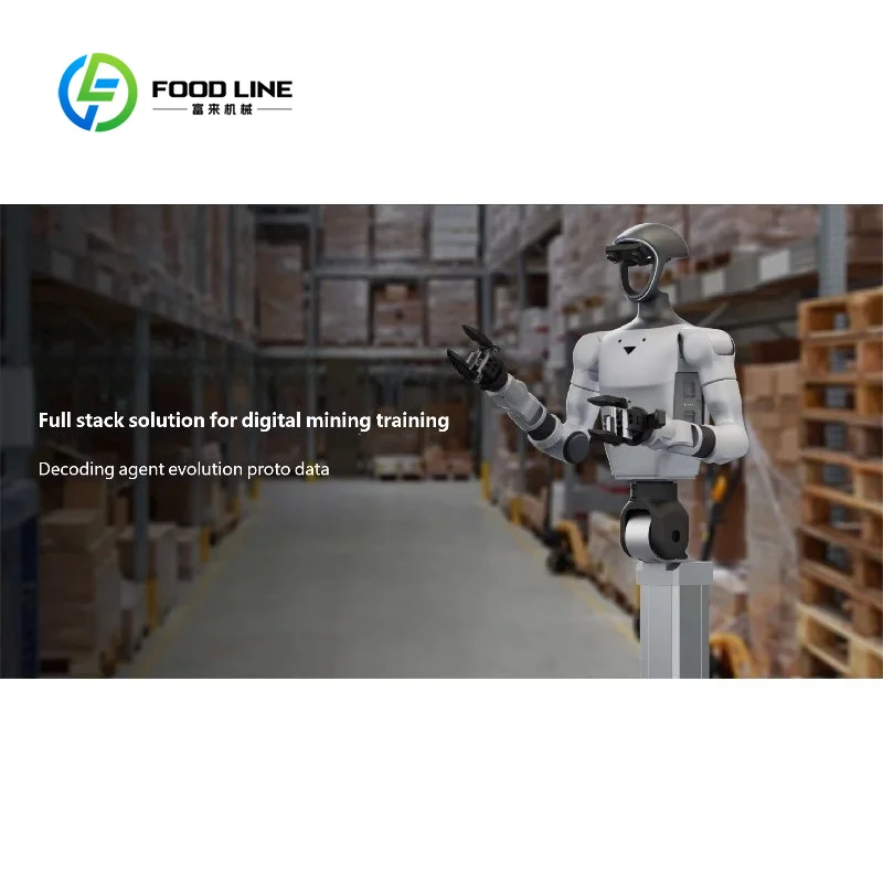 Robot Umanoide Intelligente Personalizzato con Navigazione Autonoma per Logistica di Magazzino e Assistenza Industriale - immagine 2