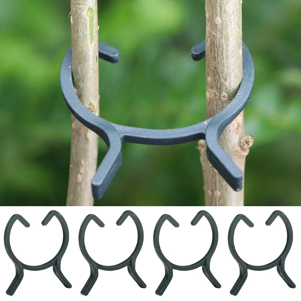 2 Sizes Plant Garden Clip Vegetable Plant Clip Suitable for Vegetable And Fruit Growth Fixed Support Support Fixed