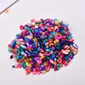 Colorful shells
