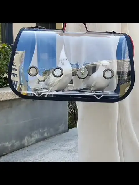 Zaino Trasportino Per Uccelli – In Tessuto Oxford E PVC, Con Posatoio E Vassoio Removibile, Per Pappagalli E Piccoli Animali