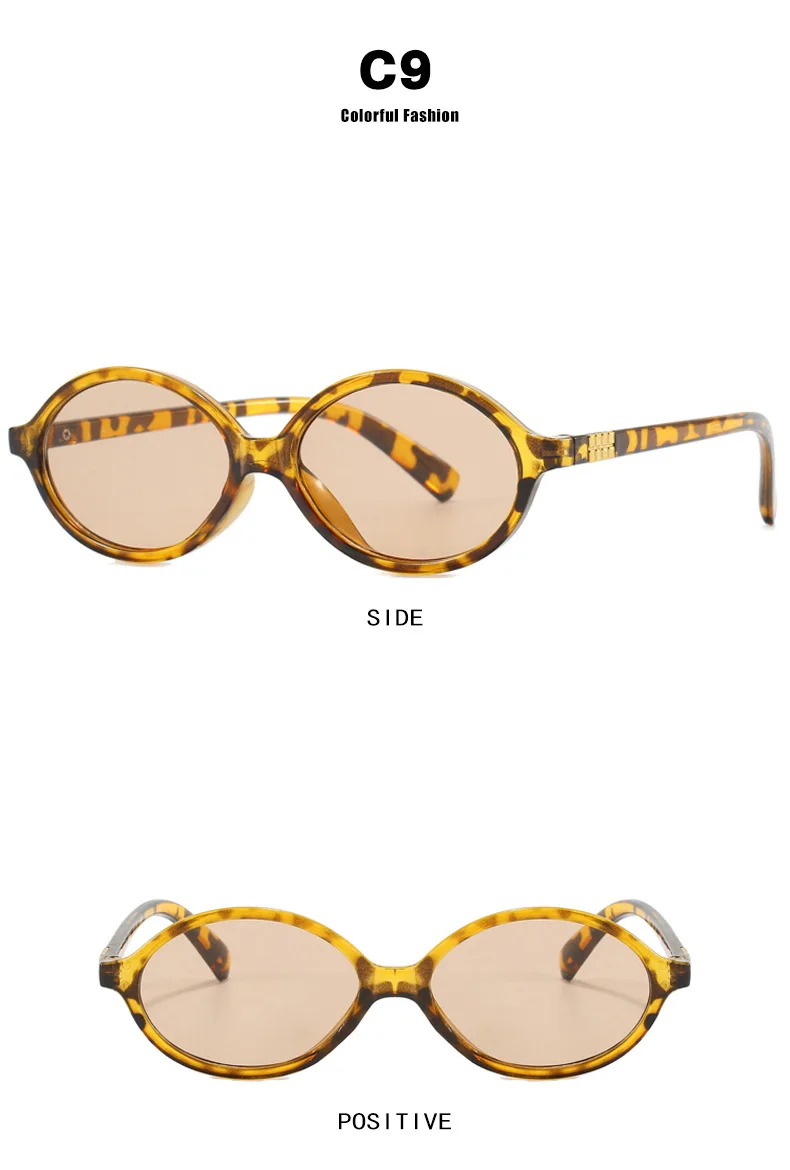 Vintage kleine ovale Brillen Damen Luxusmarke Designer Computer Anti Blaues Licht Gläser Retro Mode Herren Leopard Brillen – Detail 13