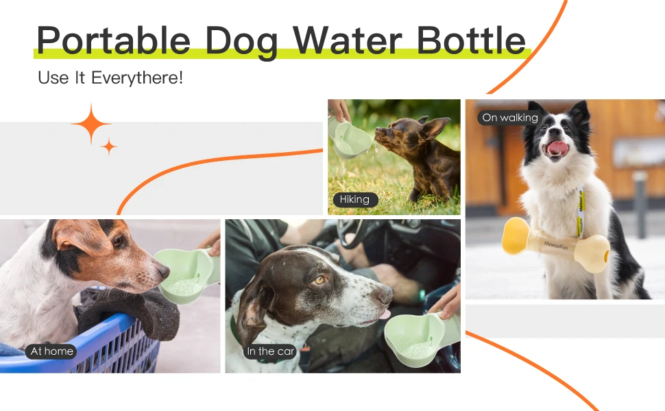 Title 6, Mewoofun Cat Dog Water Bottle Feeder Bowl 2 in ...