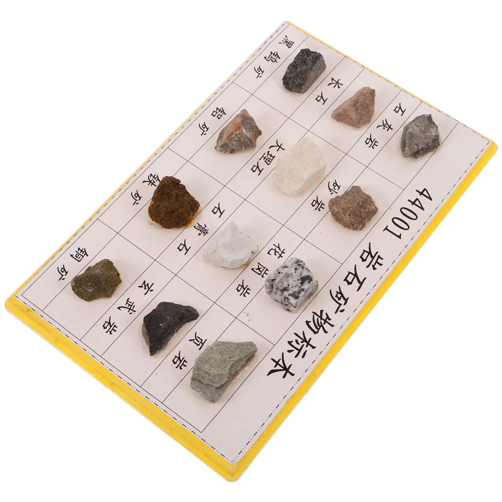 

12 Pcs Rock Specimen Set The Biological Experiment Specimens for Primary and Secondary Schools Mineral