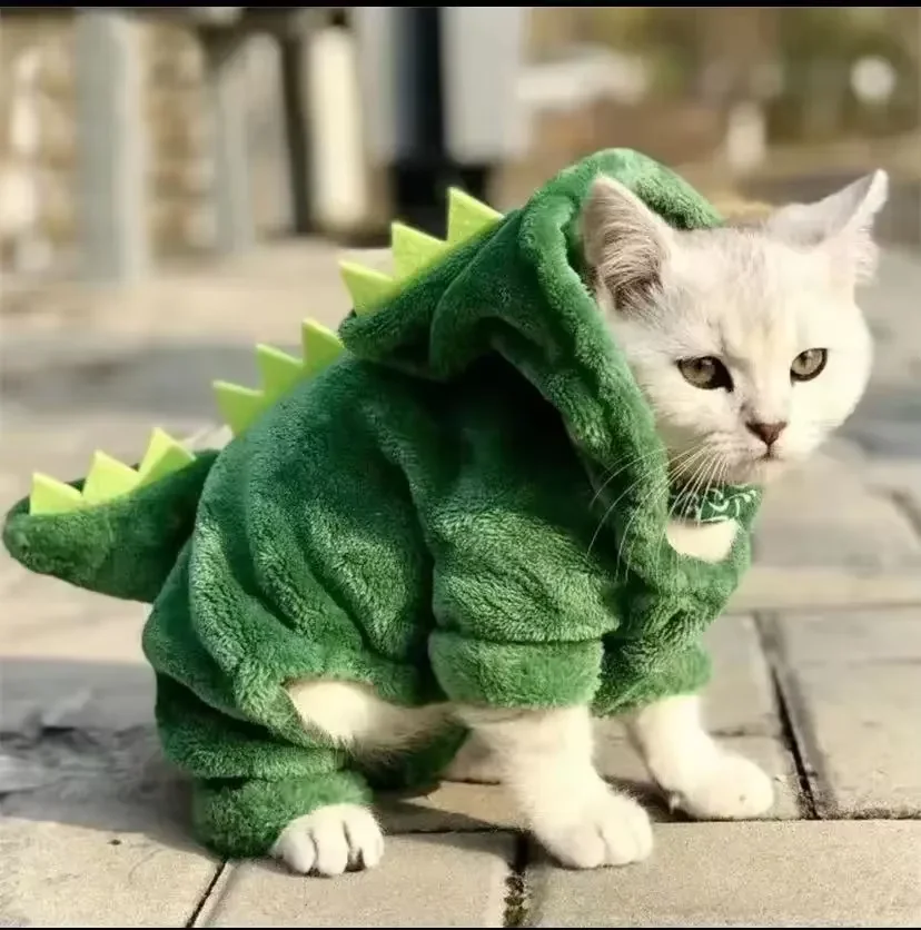 Dinosaur Pet Costume 1