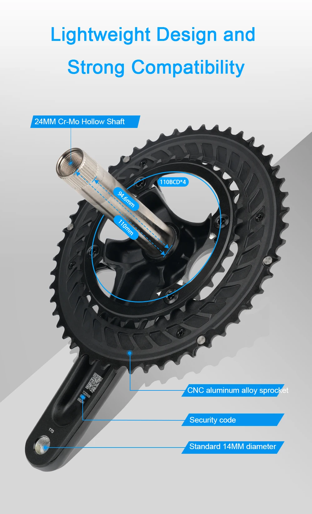 Chainring Close-up