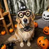 Fashion Cat Clothes Bat Wings Funny Dog Costume Artificial Wing Pet Cosplay Prop Halloween Christmas Cat Costume Pet Products 5
