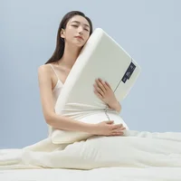 Memory Foam Pillow