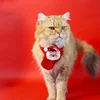 Pets Christmas Scarf Hat Warm Knitted Costume  Cat and Dog Cartoon Elk Snowman Knitted Comfortable Scarf Pet Dress Up Supplies 3