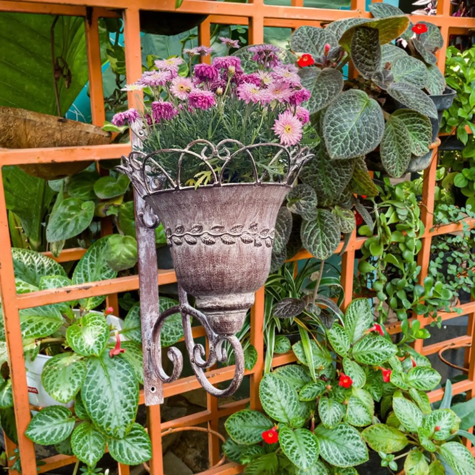 Vintage Wall-Mounted Iron Flower Pot Planter 3