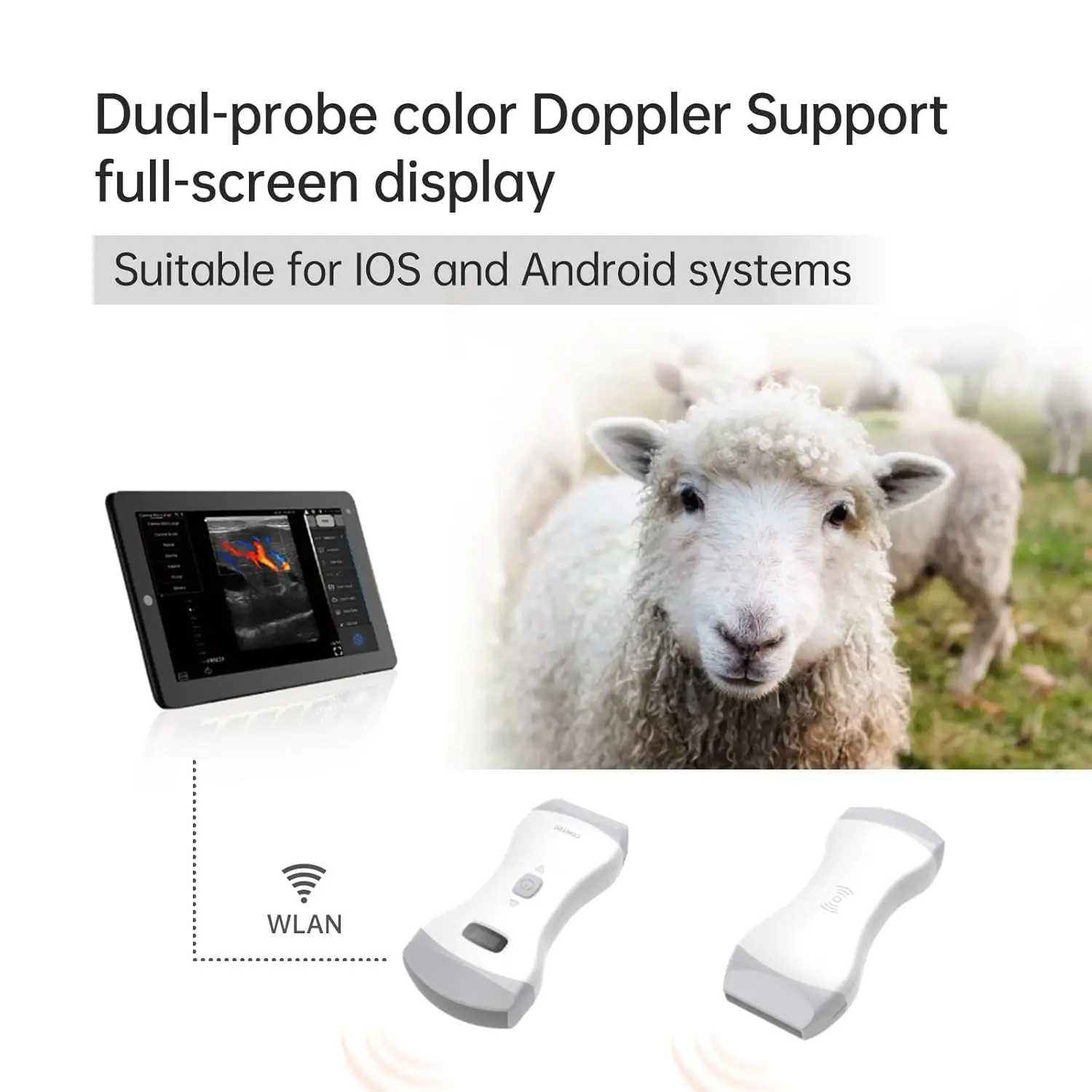 CONTEC Veterinary Color Doppler Ultrasound Machine Convex & Linear Probe for Animals Pet with WiFi and Software