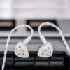 DUNU DK3001BD Brain Dance 9 Drivers Tribrid In-Ear Earphone 1DD+4BA+4P Hybrid Flagship Glacier Hi-Res Audio Earbuds DK3001 BD 2