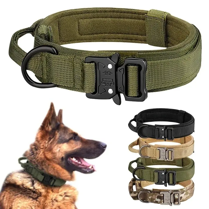 Big Dog Collars 1