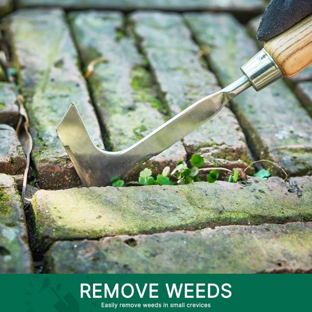 Slide image 9c361e8e9f6248f7955853d3164586f2