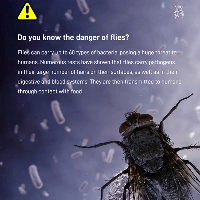 효과적이고 안전한 해충 관리 솔루션