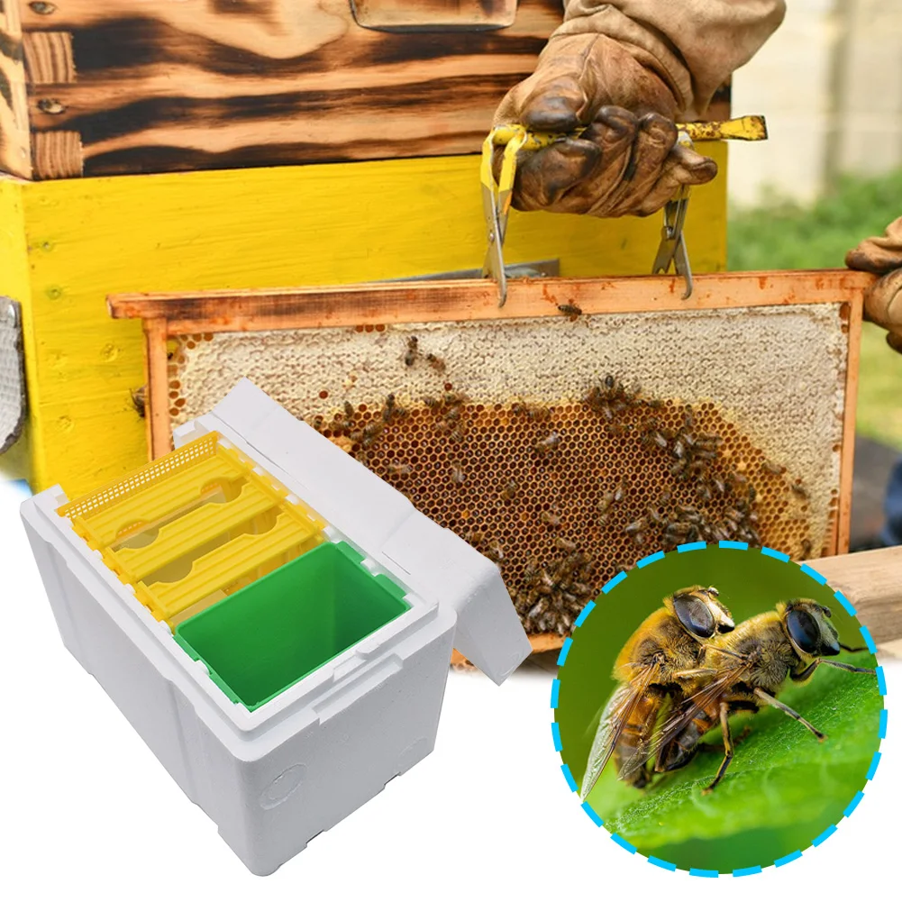 Foam Bee Box Versatile Queen Bee Breeding Box Bee Pollination Box Queen Bee Rearing Beehive for Bee Mating Rearing