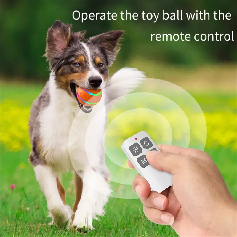 https://ae01.alicdn.com/kf/S2aaa74ddcf424c69b7bbec72fb0c7866w/Smart-Electric-Dog-Toy-Ball-With-LED-Flashing-Pet-Cats-Dogs-Interactive-Chew-Toys-With-Remote.jpg