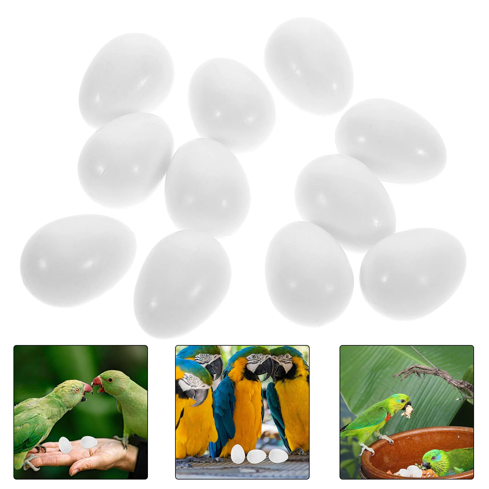 30 Pcs Parrot Fake Eggs Artificial Chicken Plastic Pigeon Small Bird Quail Baby Fertility Control