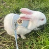 Newest Cute Rabbit Harness and Leash Set Bunny Pet Accessories Vest Harnesses Rabbit Leashes for Outdoor Walking Pets Supplies 5
