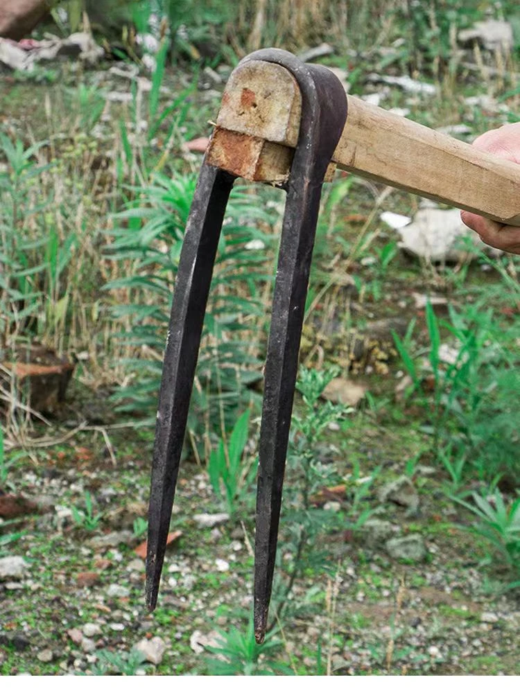 Agricultural Tools Two-Tooth Hoe Planting Vegetables Household Manganese Steel Digging Loose Soil Turning Ground Hoe Rake 3