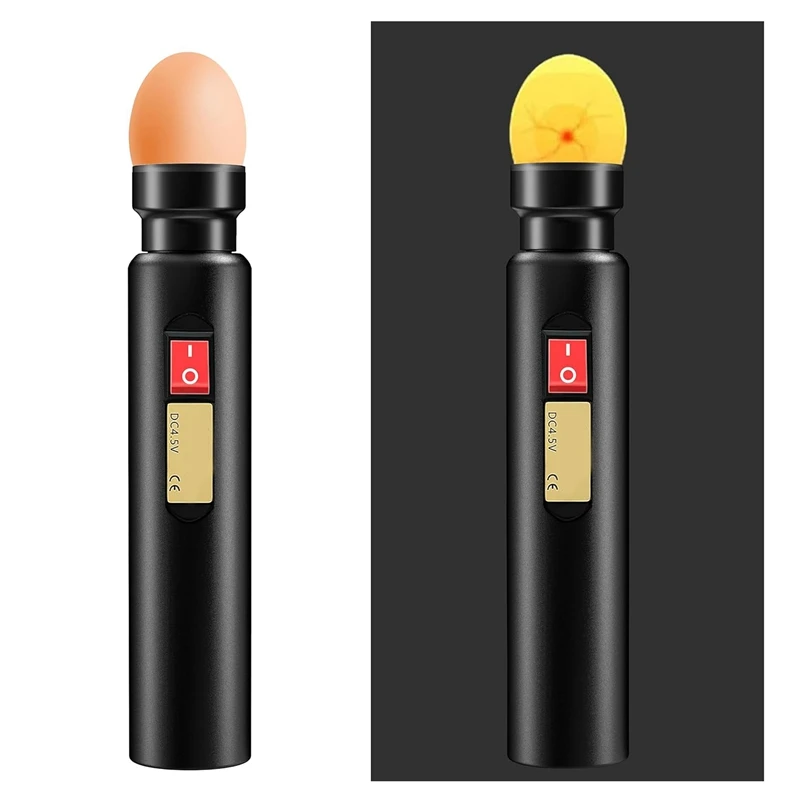   LED     ĵ鷯 ׽,   ͸, ε巯  2  